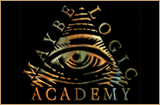 Maybe Logic Academy